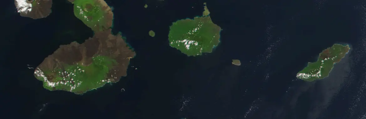 Islands Architecture in Next.js: Performance-First Web Design